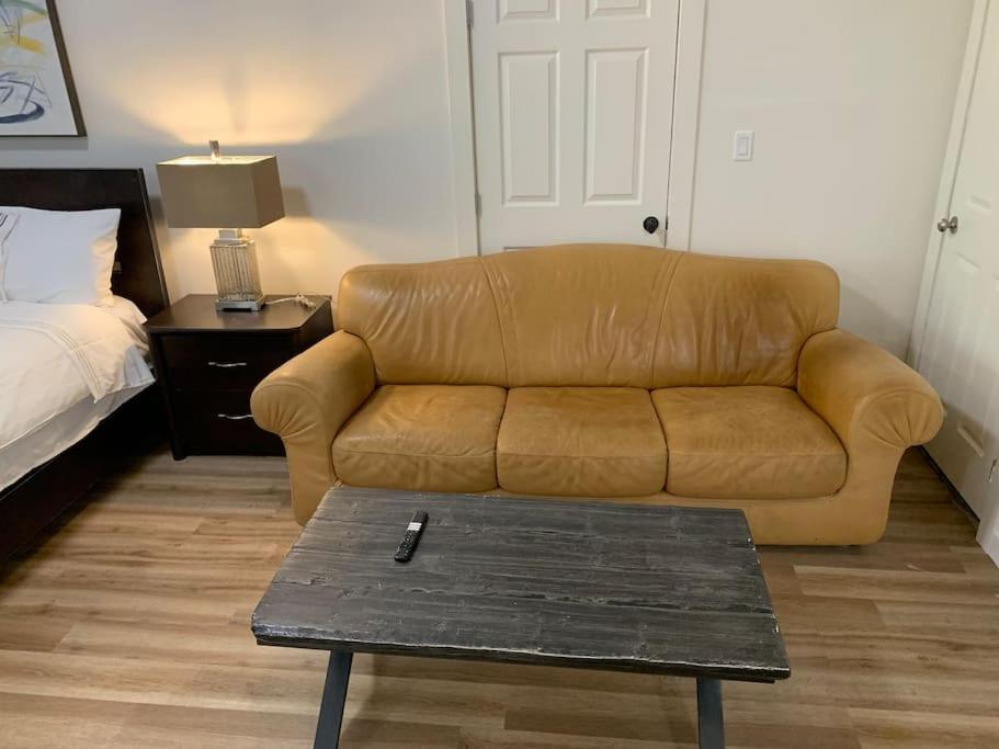 פורט אלברני Country Studio Pet Friendly מראה חיצוני תמונה